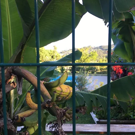Country Paradise فيلة *